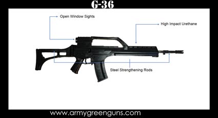 G36